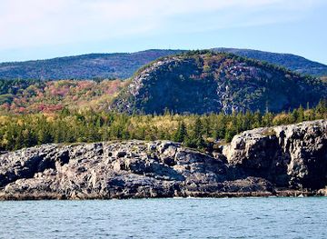 maine/washington-county/attraction/bar-harbor-whale-watch-co