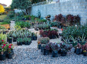 zambia/lusaka-national-park/attraction/chrij-gardens