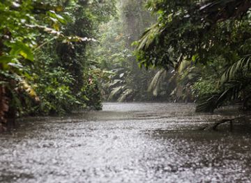 costa-rica/tortuguero-national-park/attraction/tortuguero-national-park-costa-rica