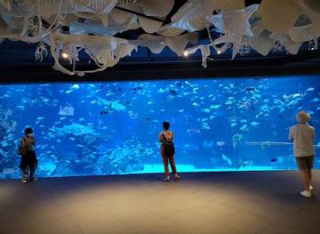 thailand/phuket/attraction/aquaria-phuket