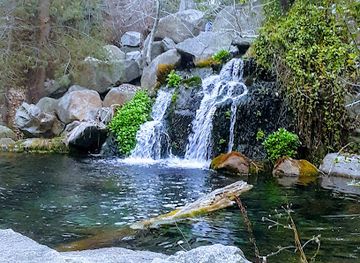 idaho/owyhee/attraction/mk-nature-center-idaho-fish-and-game