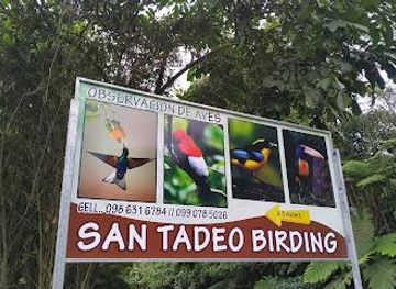 ecuador/quito/attraction/san-tadeo-birding