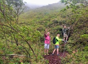 saint-vincent-and-the-grenadines/kingstown/attraction/stays-taxi-tour