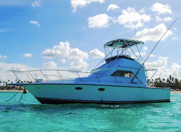 dominican-republic/punta-cana/attraction/punta-cana-tours-excursion-private