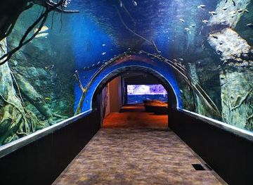 oman/muscat/attraction/oman-aquarium