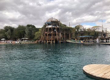 israel/eilat/dolphin-reef/attraction/dolphines-beach