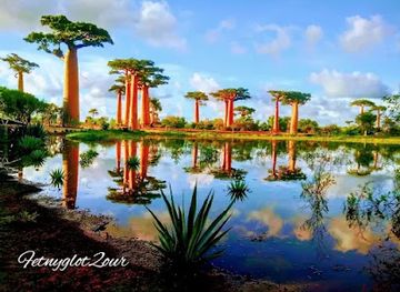 madagascar/antananarivo/antananarivo-city-center/attraction/fetnyglot2our-madagascar