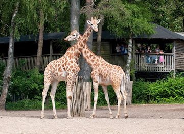 netherlands/arnhem/attraction/burgers-zoo