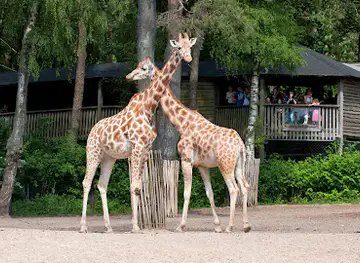Burgers' Zoo