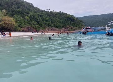 malaysia/redang-island/attraction/turtle-s-bay-redang-island
