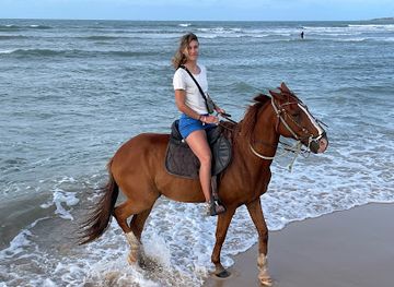 brazil/jericoacoara/attraction/passeio-a-cavalo-pedro-matias