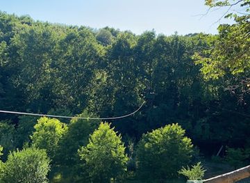 romania/maramures/attraction/tiroliana-lui-pintea