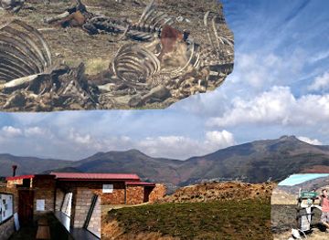 south-africa/royal-natal-national-park/attraction/oribi-loop