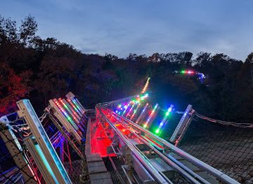 arkansas/ozark-mountains/attraction/runaway-mountain-coaster-flyaway-ziplines-at-branson-mountain-adventure
