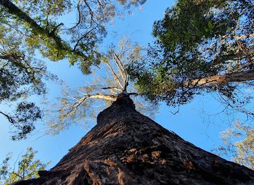 australia/northern-rivers/attraction/woodford-island-nature-reserve