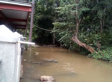 sri-lanka/kegalle-district/attraction/asela-elephant-riding