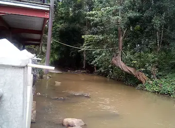 Asela Elephant Riding