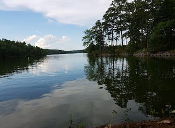 alabama/coosa-valley/attraction/dare-power-park