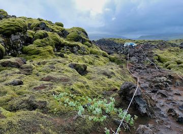 iceland/skaftafell/attraction/gonguleio-um-eldhraun