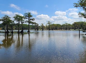 louisiana/caddo-lake/attraction/mystique-tours-on-caddo-lake