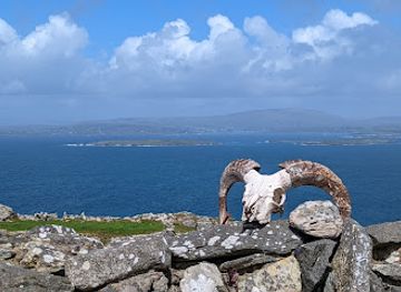 ireland/mizen-head/attraction/cape-clear