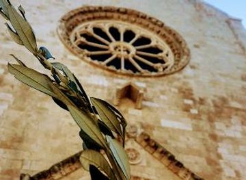 italy/bari/attraction/cathedral-of-saint-mary-of-the-assumption-in-heaven