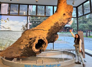 australia/central-west/attraction/newcastle-museum