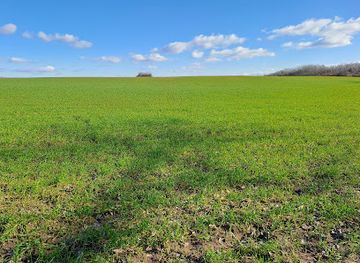 hungary/southern-great-plain/attraction/naplas-tavi-tulfolyo