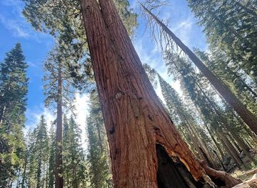 california/yosemite-village/attraction/faithful-couple