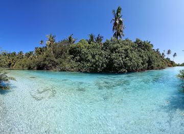 maldives/gaafu-alif-atoll/attraction/olhuvaali-hulhedhdhoo