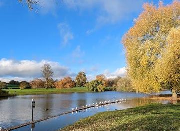 united-kingdom/devon/attraction/verulamium-park