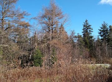 massachusetts/mohawk-trail-state-forest/attraction/tamarack-hollow-nature-cultural-center