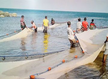 eritrea/dahlak-archipelago/attraction/semenawi-bahri-national-park