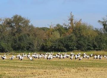 spain/girona/attraction/pals