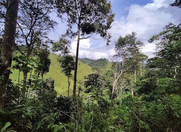 honduras/rio-platano-biosphere-reserve/attraction/caserio-la-felicidad