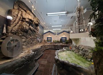 maine/bangor/attraction/maine-discovery-museum