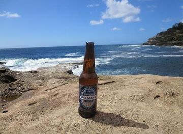 new-mexico/carlsbad/attraction/left-coast-brewing-co