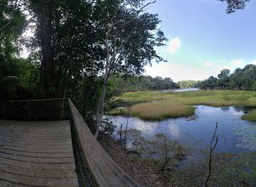 panama/gamboa/attraction/panama-rainforest