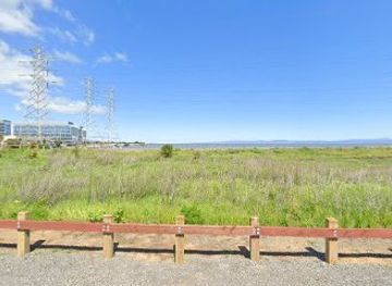 california/san-francisco-peninsula/attraction/aardvark-beach