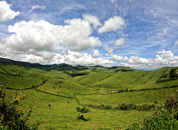 rwanda/akagera-national-park/attraction/ibere-rya-bigogwe