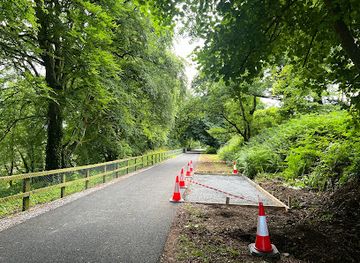 ireland/county-limerick/attraction/limerick-greenway-tullig-wood