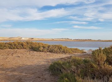 egypt/ras-muhammad-national-park/attraction/saline-lake