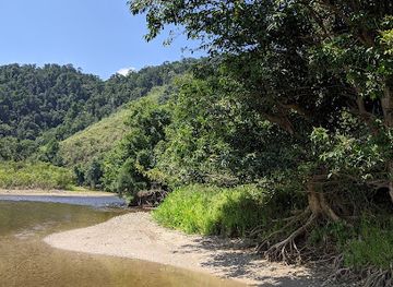 australia/daintree-rainforest/attraction/whyanbeel-arboretum