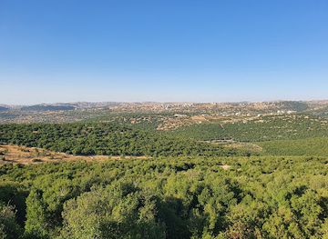jordan/ajloun-castle/attraction/mahmiyat-ghabat-ajloun