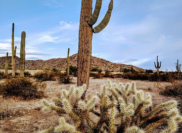 Sonoran Desert National Monument