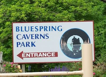 Bluespring Caverns Park