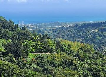 puerto-rico/guayama/attraction/el-yunque