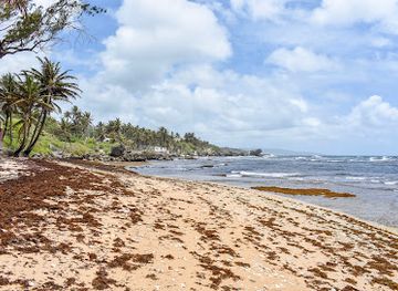barbados/south-coast/attraction/martins-bay