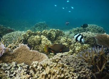 Palolo Deep Marine Reserve