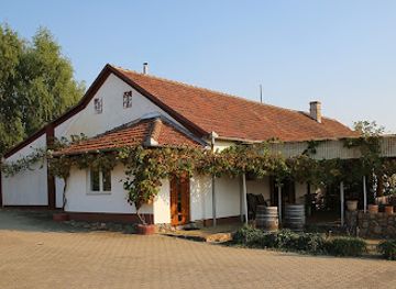 romania/banat/attraction/pivnitele-birauas